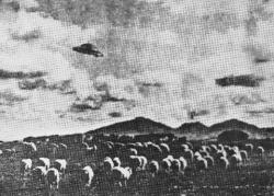 1954-australia-ovni-ufo.jpg