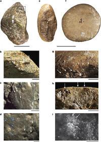 Important : L'homme en Amérique il y a 130000 ans !