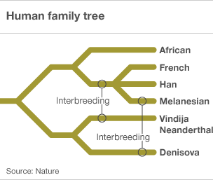Un nouvel hominidé inconnu en Afrique ?