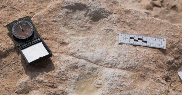 Arabie Saoudite : Des empreintes humaines de 85 000 ans