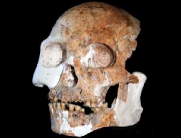 Des fossiles humains Chinois uniques analysés
