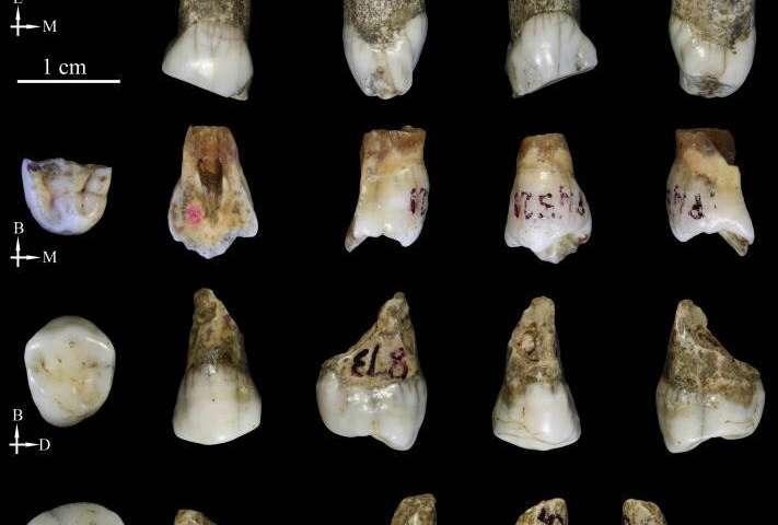 Chine : Preuve d'un nouvel hominidé ?