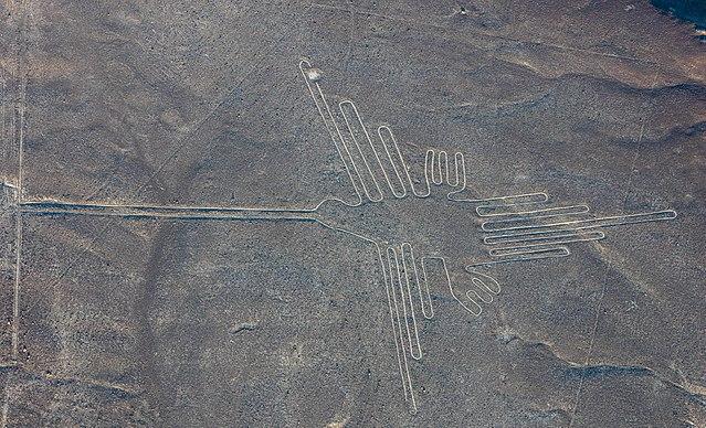 Des géoglyphes-oiseaux de Nazca identifiés