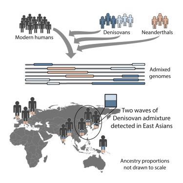 Génétique et récentes découvertes: Homo Sapiens né en Eurasie