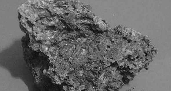 Des scientifiques affirment que des fossiles dans une météorite indiquent une vie extraterrestre