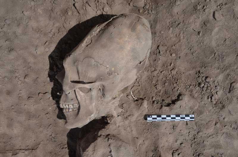 De nouveaux crânes déformés découverts au nord du Mexique