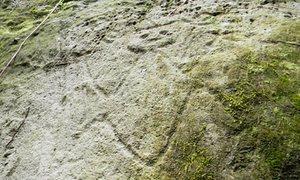 Caraibes, Montserrat : premiers pétroglyphes découverts