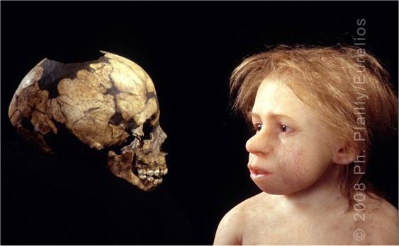 Néanderthal savait faire de très belles parures
