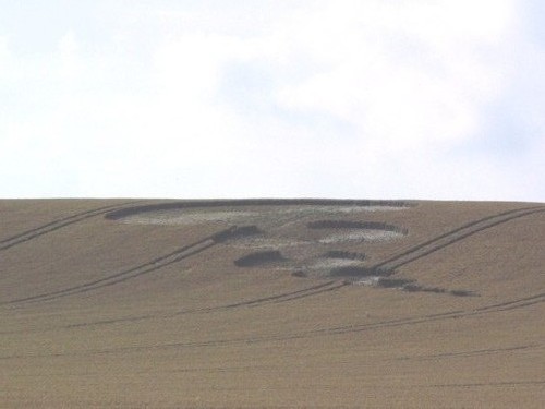 photo-ufo-crop-circles-ovni-morganhill.jpg