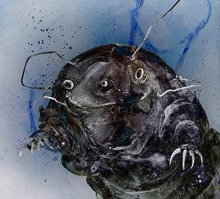 Les Tardigrades : des aliens parmi nous ?